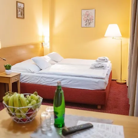 Hotel U Salzmannů-3